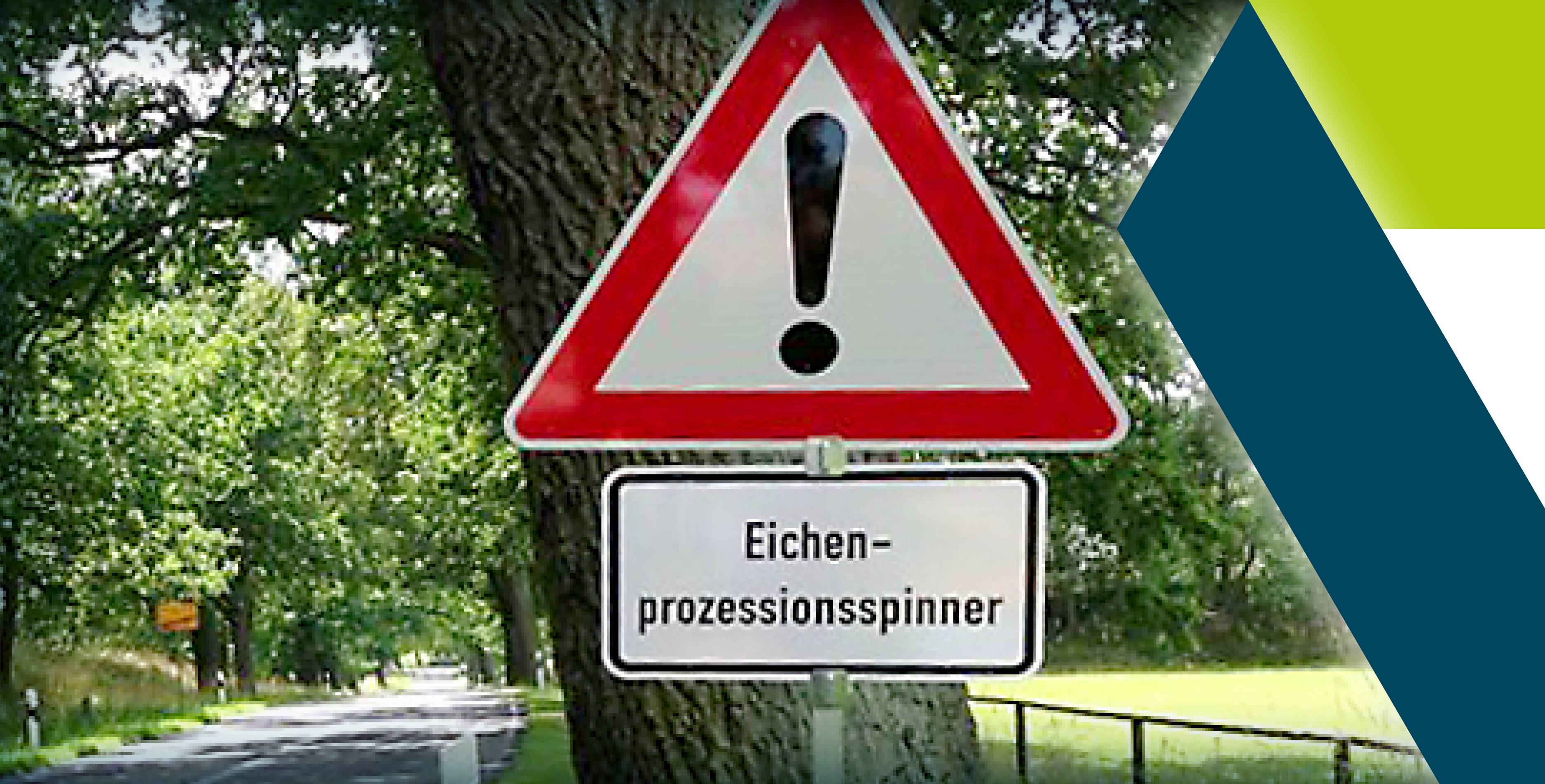 Blog-Motiv_Eichenprozessionsspinne + Logo Bilmarke